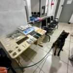 Mulher é presa por tráfico de drogas em Itapema; apreensão inclui mais de 1 kg de maconha