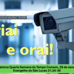 Reflexão Diária – Pe. Francisco de Assis Wloch – 29 de novembro