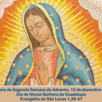 Reflexão Diária – Pe. Francisco de Assis Wloch – 12 de Dezembro