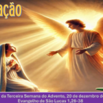 Reflexão Diária – Pe. Francisco de Assis Wloch20 de dezembro de 2025