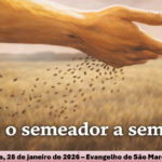 Reflexão Diária – Pe. Francisco de Assis Wloch – 28012026