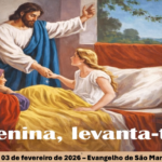 Reflexão Diária – Pe. Francisco de Assis Wloch – 03 de fevereiro de 2026